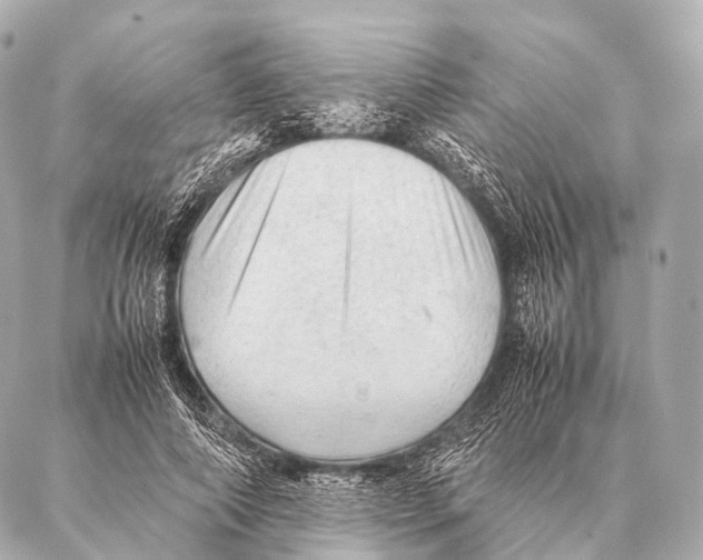 X0000087020690200705141857