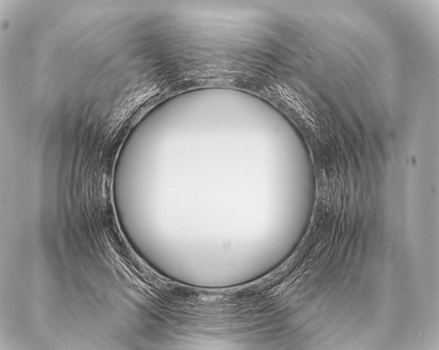 X0000087020692200705141857