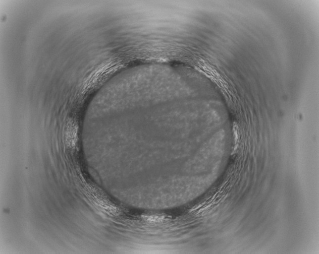 X0000087020693200705141857