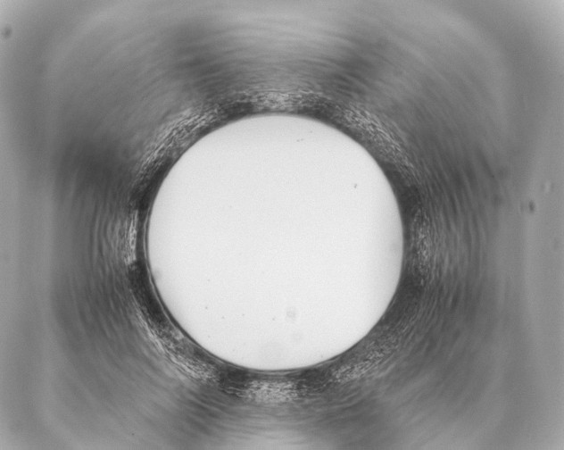 X0000087020694200705141857