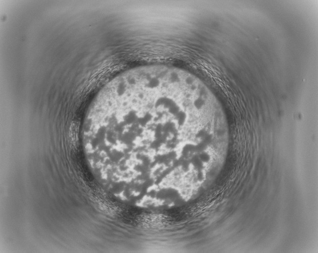 X0000087020695200705141857