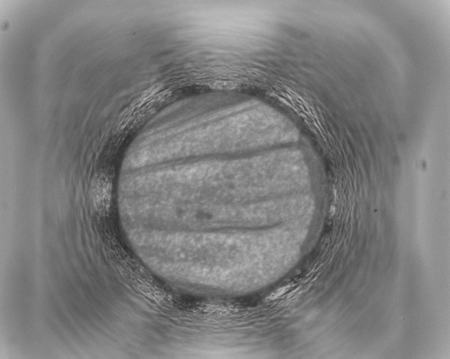 X0000087020697200705141857