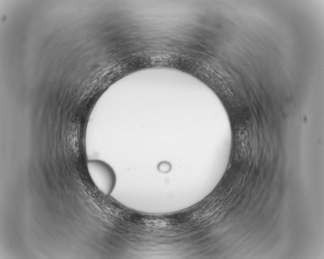 X0000087020698200705141857