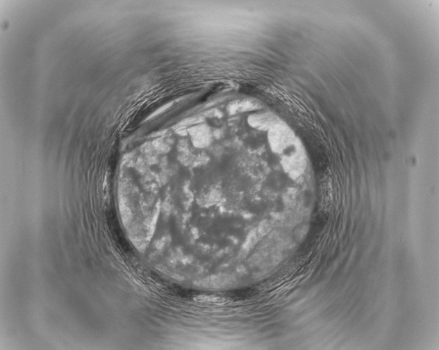 X0000087020699200705141857