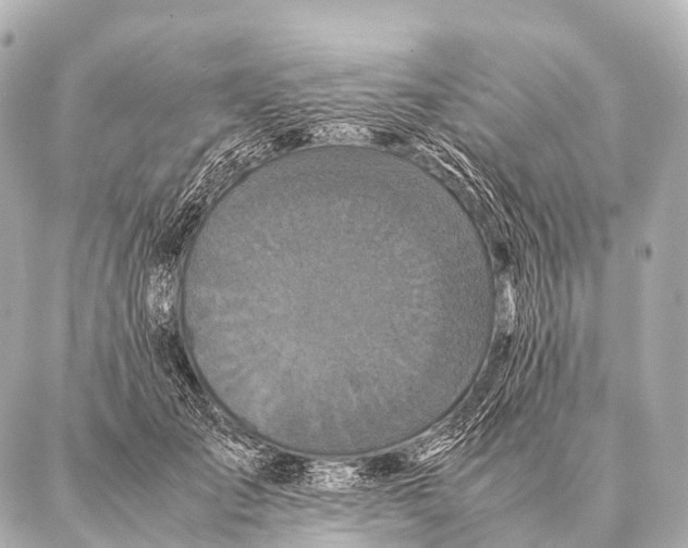 X0000087020701200705141857