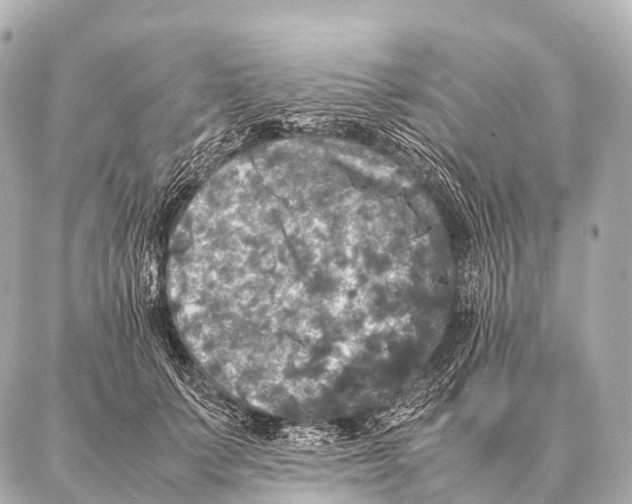 X0000087020703200705141856