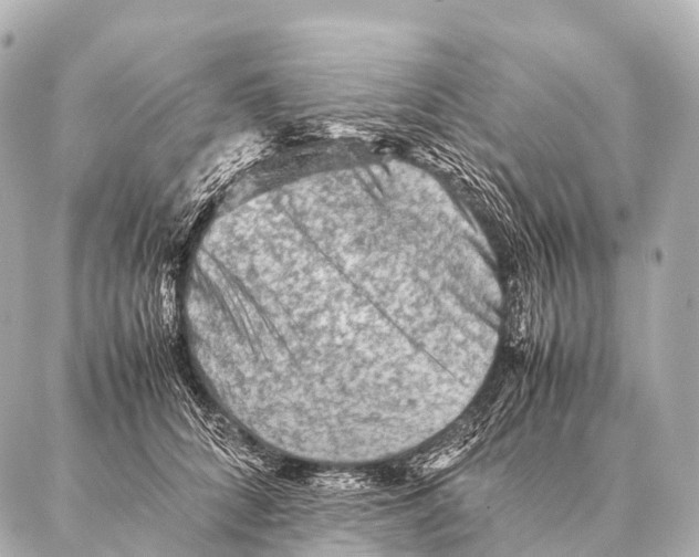 X0000087020704200705141856