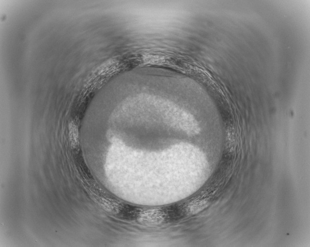 X0000087020705200705141856