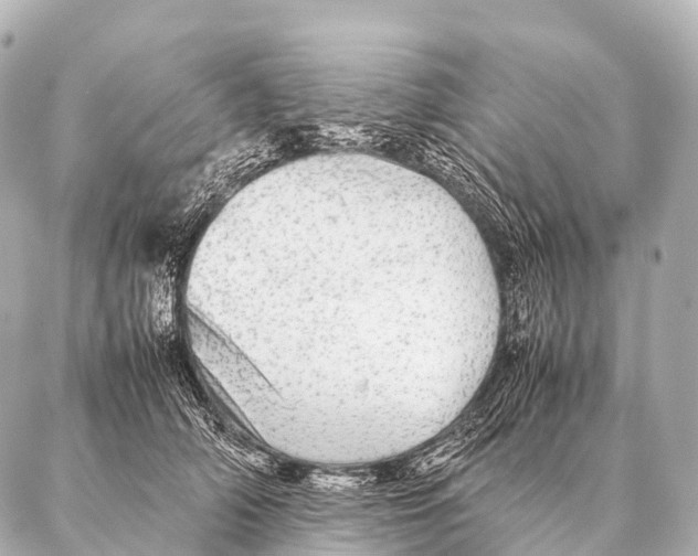 X0000087020706200705141856