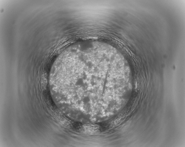 X0000087020707200705141856