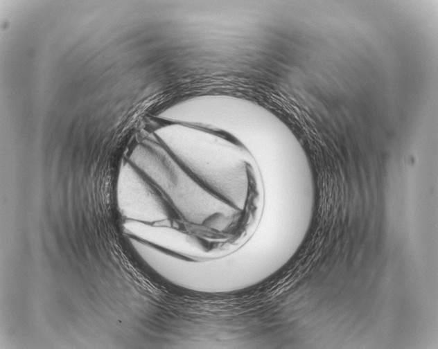 X0000087020708200705141856