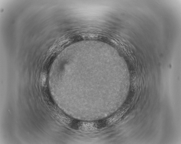 X0000087020709200705141856