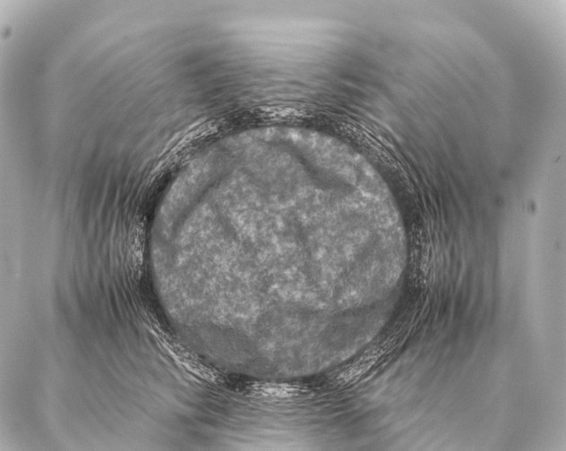 X0000087020710200705141856