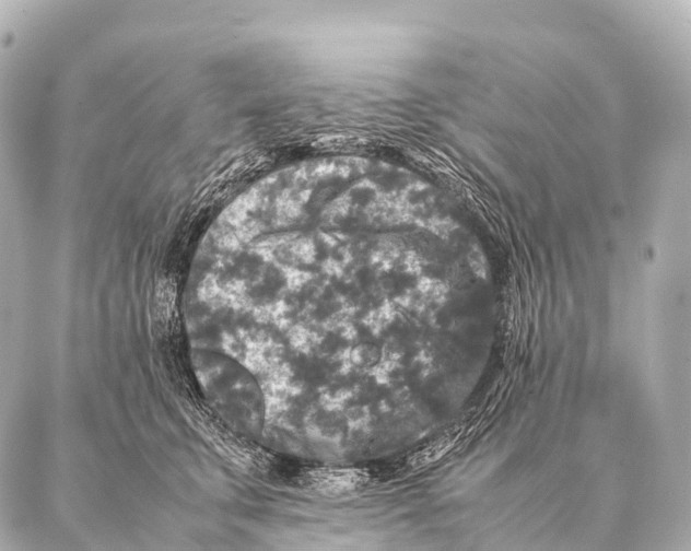 X0000087020711200705141856