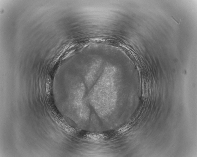 X0000087020712200705141856