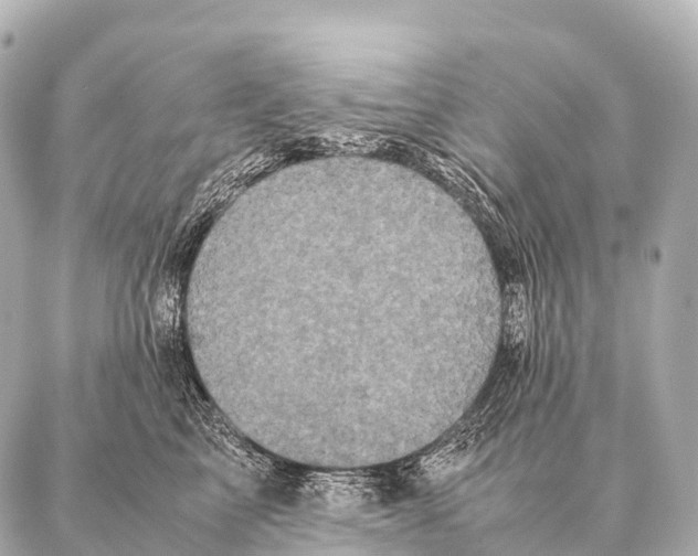 X0000087020713200705141856