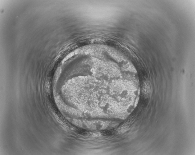 X0000087020715200705141856