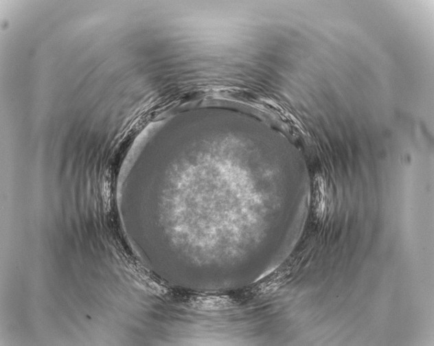 X0000087020716200705141856