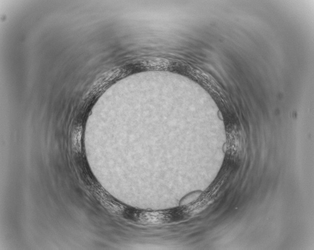 X0000087020717200705141856