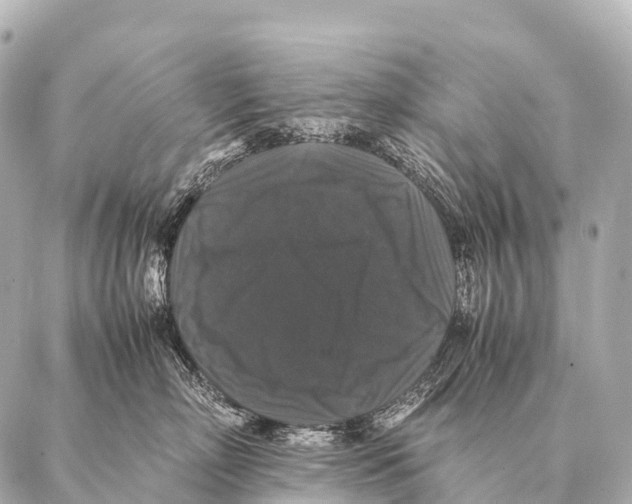 X0000087020718200705141856