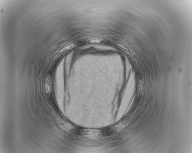 X0000087020719200705141856