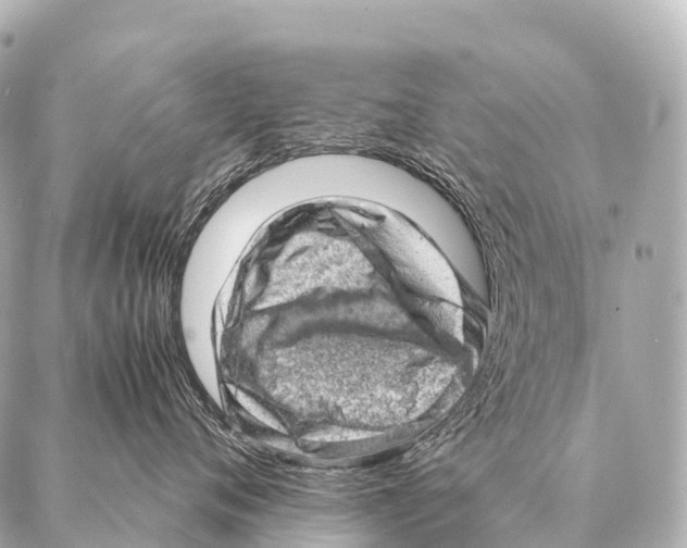 X0000087020720200705141856