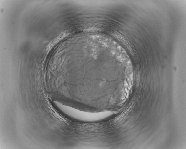 X0000087020721200705141855