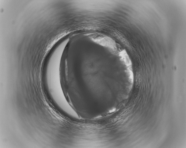 X0000087020722200705141855