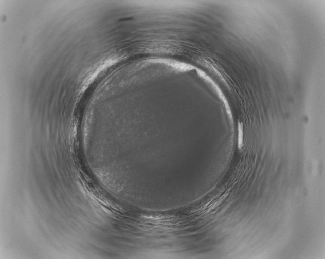 X0000087020723200705141855