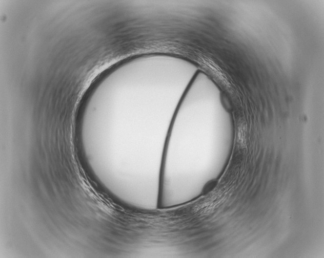 X0000087020724200705141855