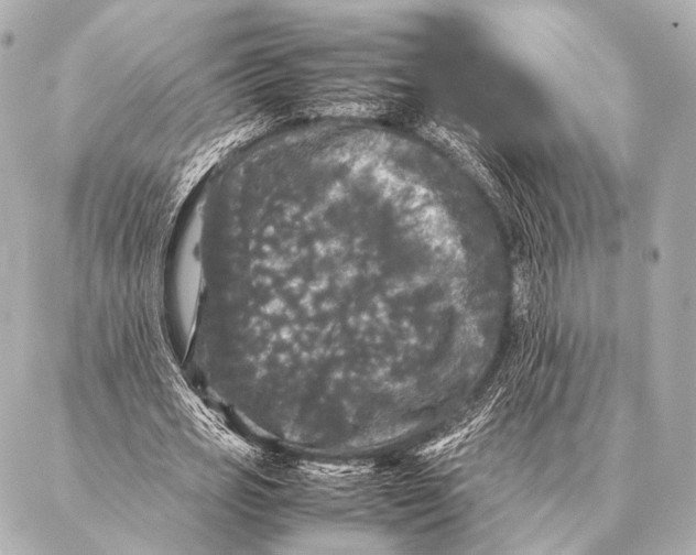 X0000087020725200705141856