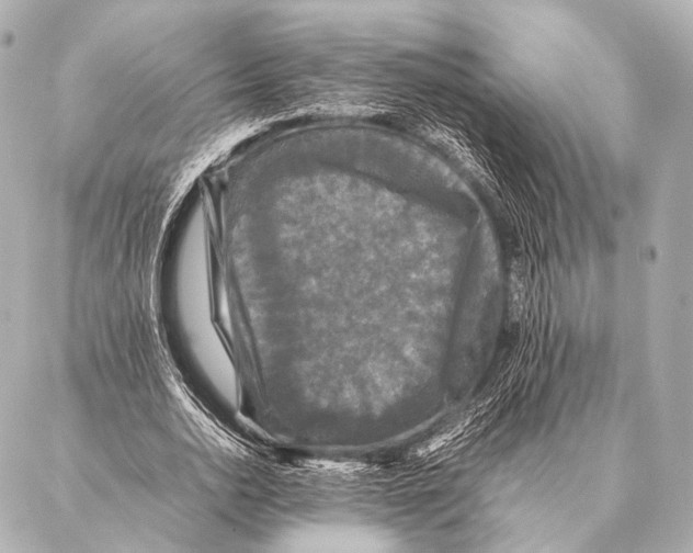 X0000087020726200705141856