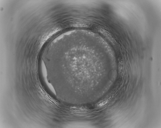 X0000087020727200705141856