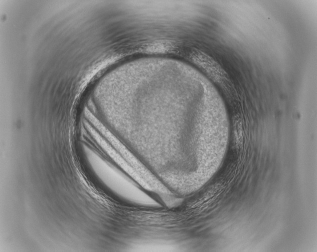 X0000087020728200705141856