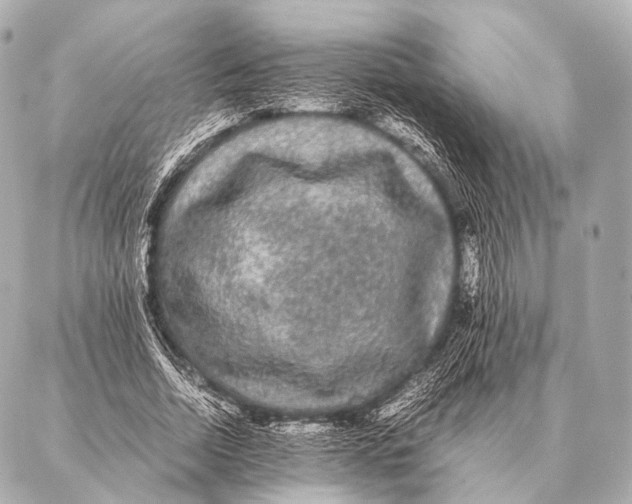 X0000087020730200705141856