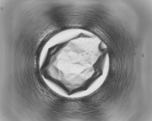 X0000087020731200705141856