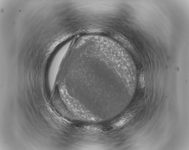 X0000087020732200705141856