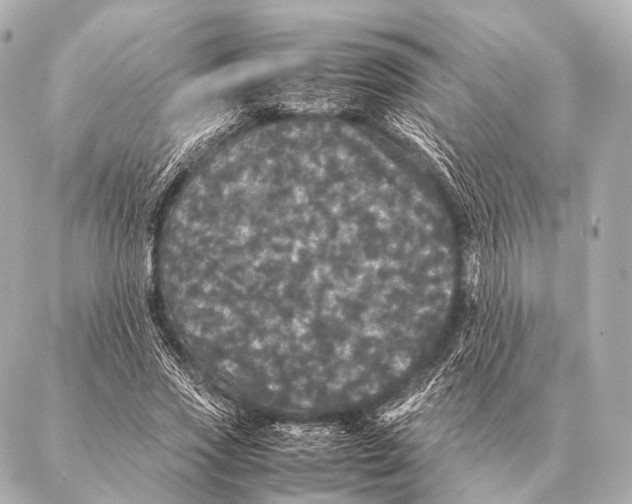 X0000087020733200705141856