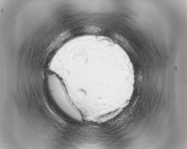 X0000087020734200705141856