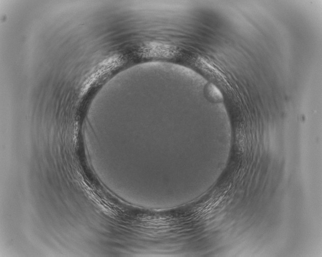 X0000087020735200705141856