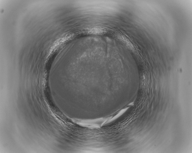 X0000087020736200705141856