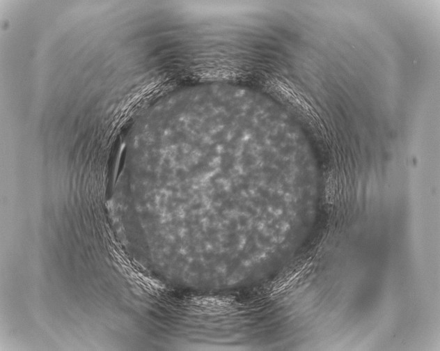 X0000087020737200705141856