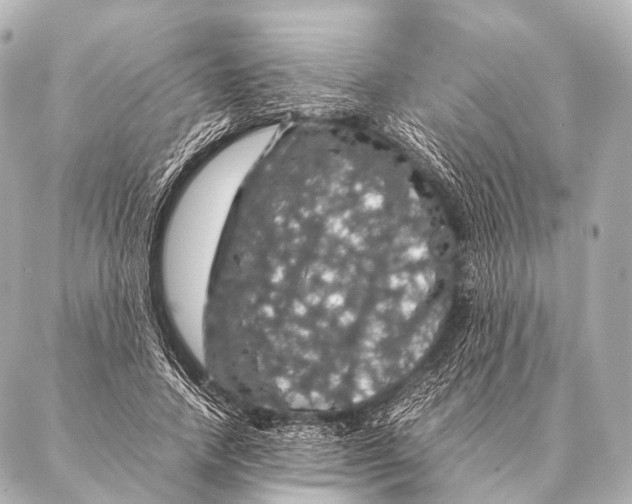 X0000087020738200705141856