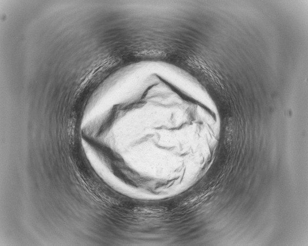 X0000087020739200705141856