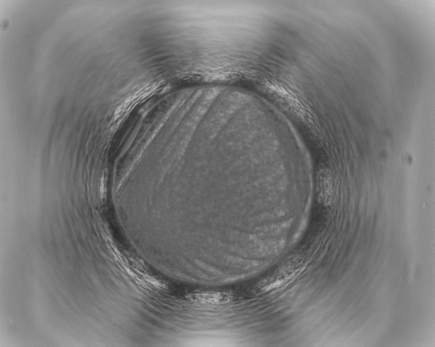 X0000087020740200705141856