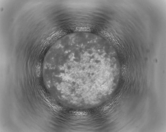 X0000087020741200705141856