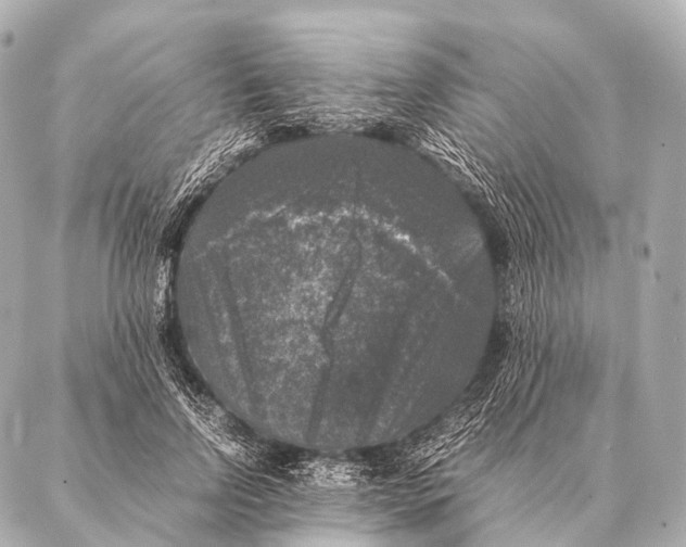 X0000087020742200705141856