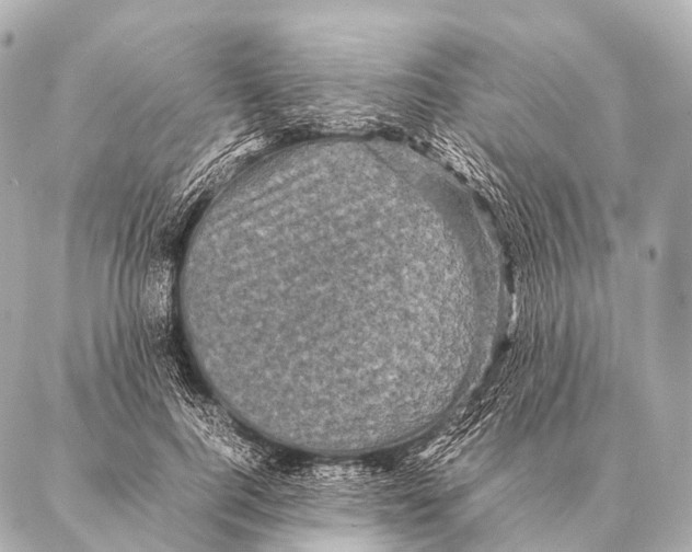 X0000087020744200705141856