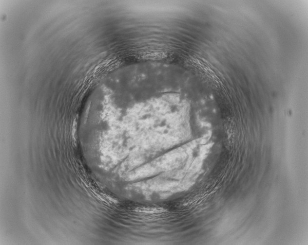 X0000087020745200705141856