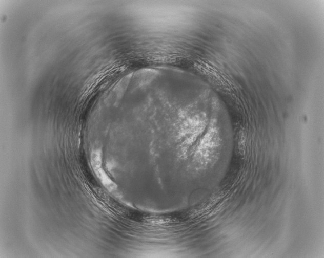 X0000087020746200705141856